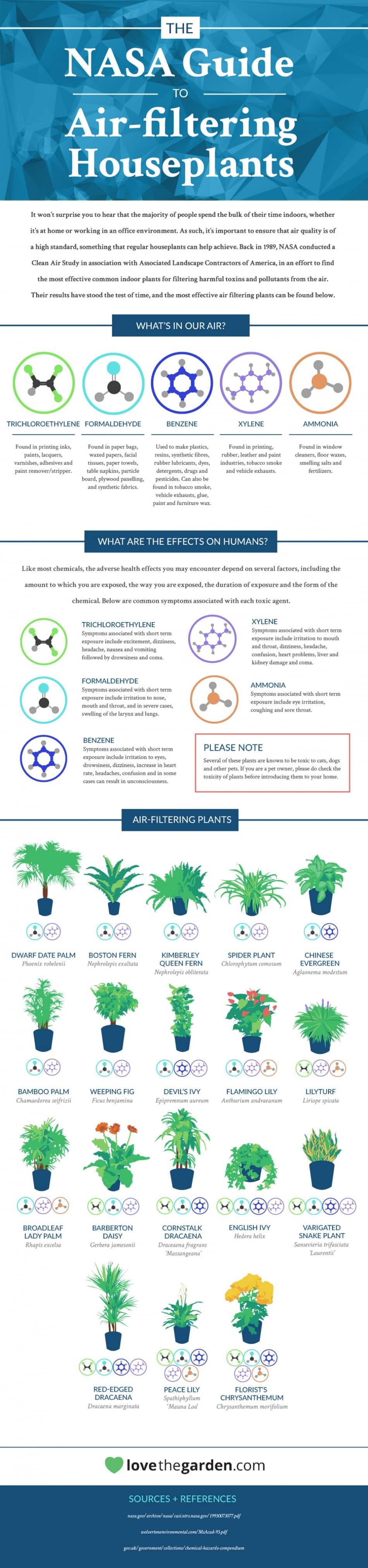 NASA Guide to Air Filtering House Plants
