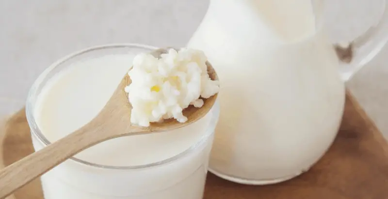 5 Incredible Kefir Health Benefits You Can’t Ignore