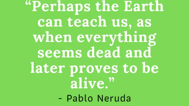 Pablo Neruda Quote